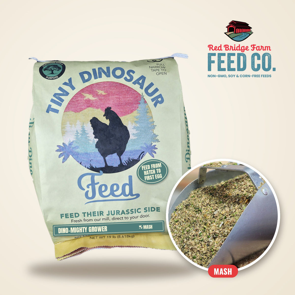Tiny Dinosaur Dino-Mighty Grower
